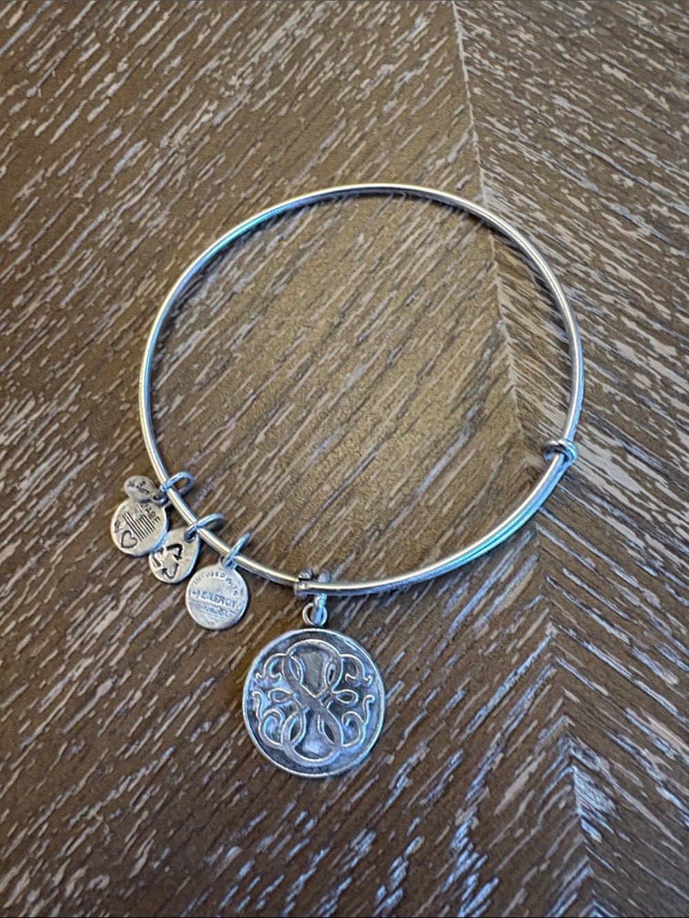 Alex and Ani Path of Life Charm Bracelet (2012)